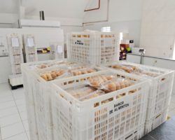 Banco de Alimentos de São Bernardo ganha ampliação a partir de 2021